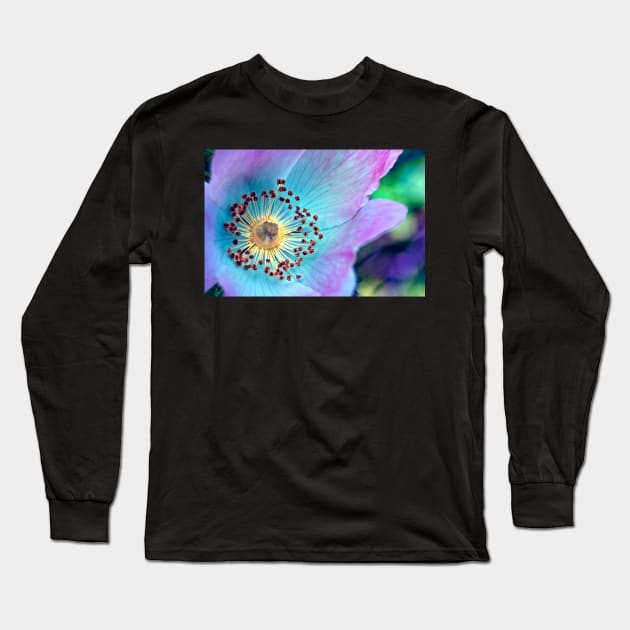 Colourful Wild Rose Long Sleeve T-Shirt by InspiraImage